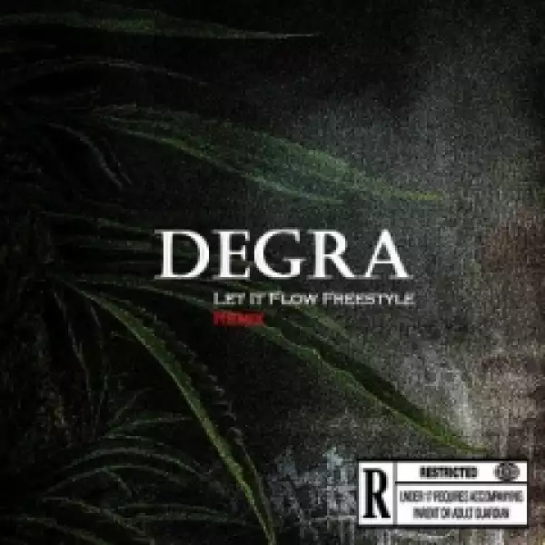 Degra D1 - Let It Flow (Freestyle)